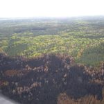 Pagami Creek aerial of burned area