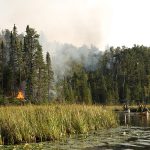 Pagami Creek Fire, Superior NF, Minnesota, September, 2011