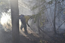 pagami firefighter in smoke