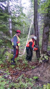 2015 Wildfire Academy Power Saws instruction
