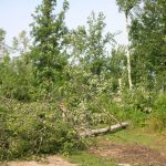 LaSalle blowdown