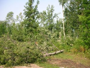 LaSalle blowdown