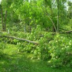 LaSalle blowdown