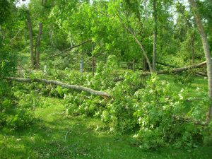 LaSalle blowdown