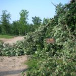 LaSalle blowdown