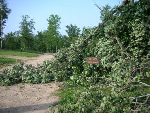 LaSalle blowdown