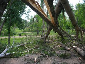 LaSalle blowdown