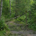 LaSalle blowdown