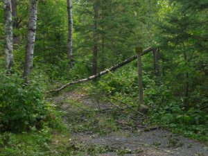 LaSalle blowdown
