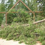 LaSalle blowdown