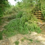LaSalle blowdown