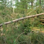 LaSalle blowdown
