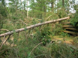 LaSalle blowdown