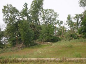 LaSalle blowdown