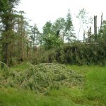 LaSalle blowdown