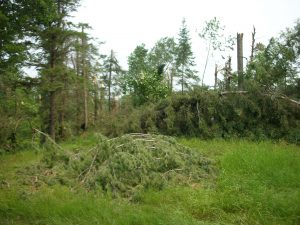 LaSalle blowdown