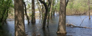 Anoka County golf course flooding