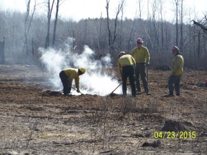 Firefighters work on hotspots on the Palsburg Fire.