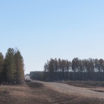 Palsburg Fire burn area II. Credit: Steve Mortensen, Julie Palkki