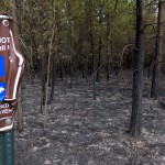 Palsburg Fire burn area and trail sign. Credit: Steve Mortensen, Julie Palkki