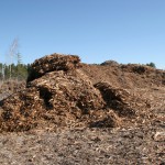 Palsburg Fire chip pile. Credit: Steve Mortensen, Julie Palkki