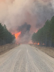 Palsburg Fire evening April 15, 2015. Credit: Tyler Fish