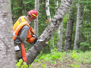 2015 Wildfire Academy saw course