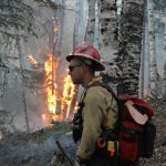 Firefighters deciding what to do next