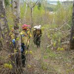 Firefighters on the fireline