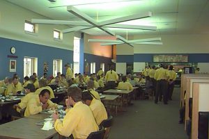 firefighters_Trainees2_jpg