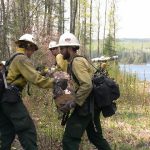 Firefighter swampers clearing trail