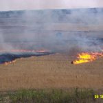 200310513 Glacial strip prescribed fire