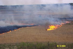200310513 Glacial strip prescribed fire