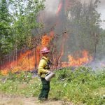 Prescribed fire drip torch lighting