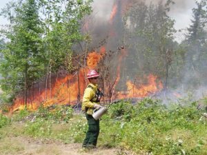 Prescribed fire drip torch lighting