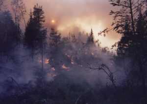 Prescribed fire