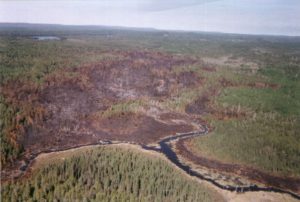 Prescribed fire results