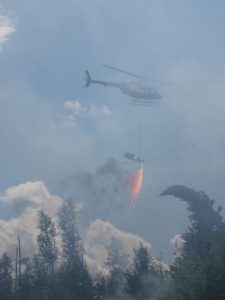 Prescribed fire helitorch 2