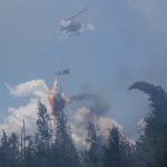 Prescribed fire helitorch at work