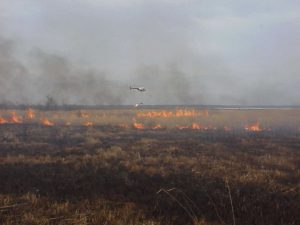 Prescribed fire helitorch