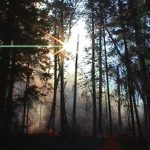 Itasca State Park prescribed fire