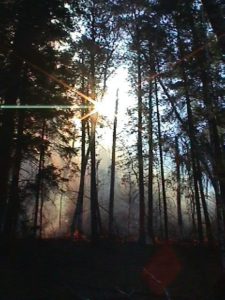 Itasca State Park prescribed fire