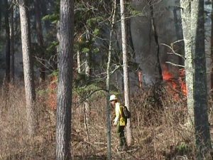 Prescribed fire mopup