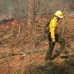 Prescribed fire mop-up