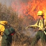 Prescribed fire PPE