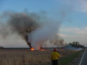 Red Lake prescribed burn