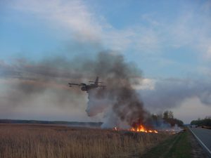 Red Lake prescribed burn