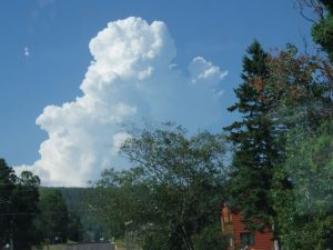 Prescribed fire smoke plume