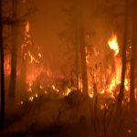 Sourdough prescribed fire