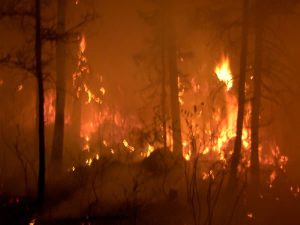 Sourdough prescribed fire
